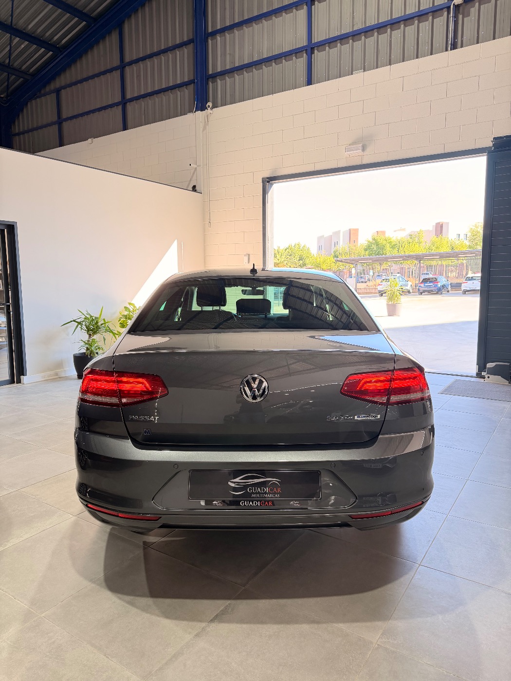 VOLKSWAGEN PASSAT BLUEMOTION — foto 8